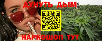 прущие грибы Можга