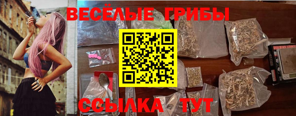 Псилоцибиновые грибы мухоморы  Галлюциногенные грибы Cubensis  Камышлов  Вход с VPN 